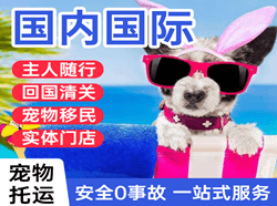 邯郸航空快运国际宠物托运 【国